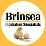 Líhně Brinsea