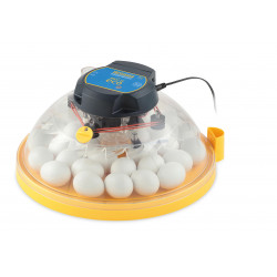 Líheň Brinsea Maxi II Eco