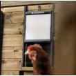 Bezpečnostní dvířka s pojistkou ke kurníku CHICKEN GUARD DOOR 25x30