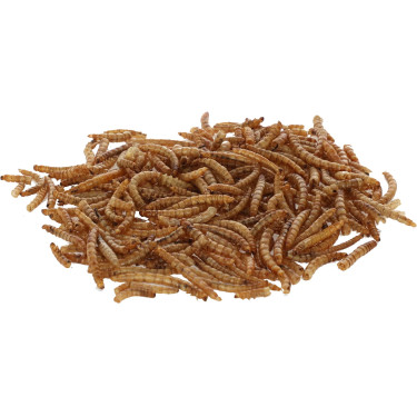 Sušené larvy potemníka moučného, 900 g, Kerbl