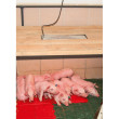 Zářič tepelný Sunny Boy, 150 W  