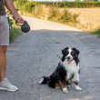 Vodítko samonavíjecí 5 m/20 kg, páska, antracit  