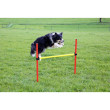 Kerbl agility překážky pro psy, sada