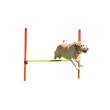 Kerbl agility překážky pro psy, sada