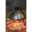 Infrazářič - výhřevná lampa se širokým kloboukem, kabel 5 m  