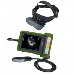 Sonografie