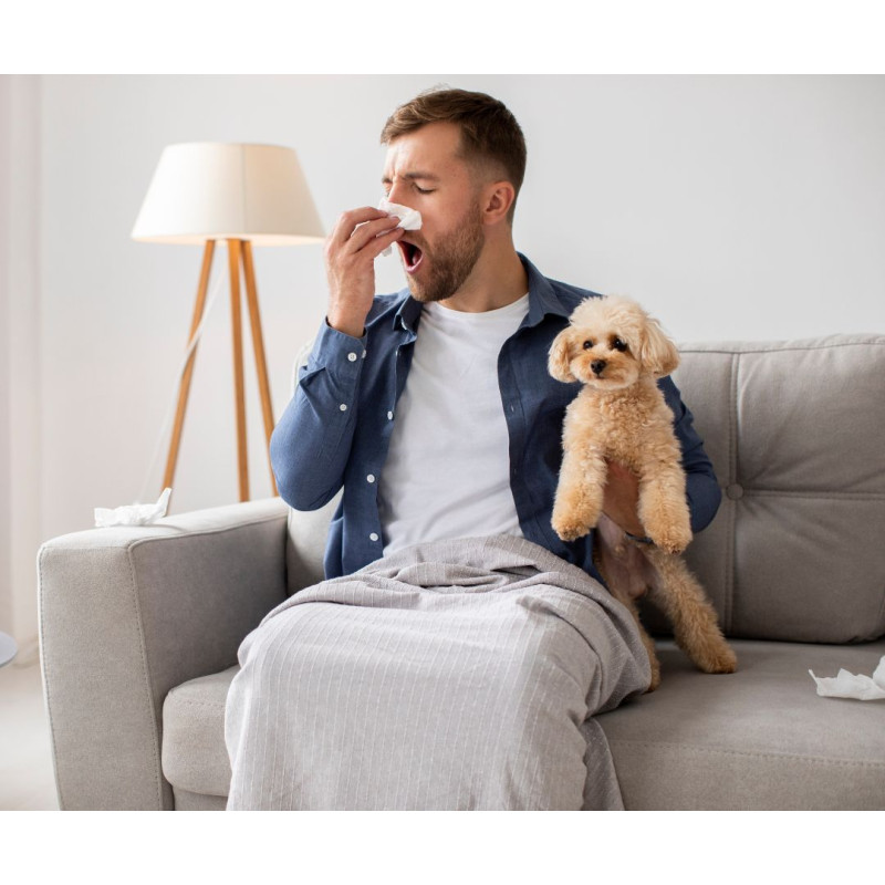 Psi pro alergiky: Jaká jsou nejoblíbenější hypoalergenní plemena psů?