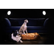 CROCODOG ORTHOPEDIC PET BED